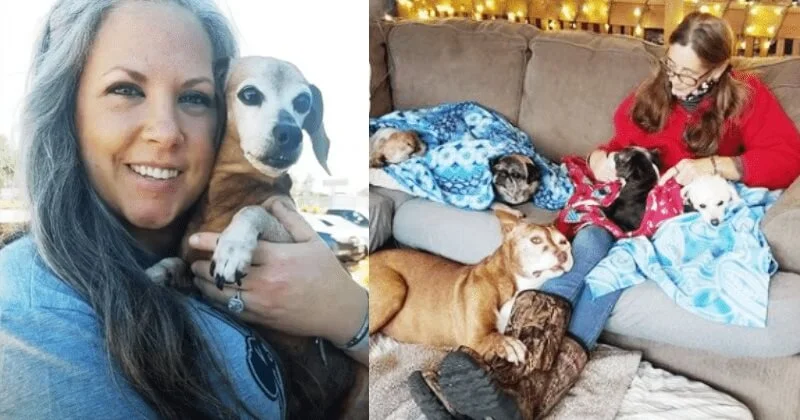 Nem tudta elfogadni, hogy a kutyák magányosan halnak meg, ezért kutyahospice-t alakított ki otthonából