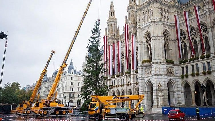 Bécsben már felállították a város karácsonyfáját