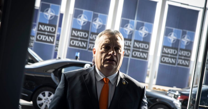 A svédek röhögnek a markukba: Orbán ismét bebizonyította, hogy igazi politikai napraforgó